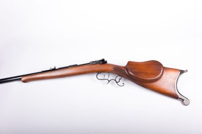 Carabine de tir de précision Friedrich

Alcheler...