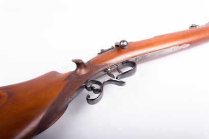 Carabine de tir de précision Friedrich

Alcheler...