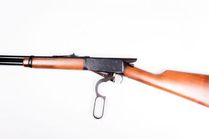 Carabine à levier de sous garde

Winchester...