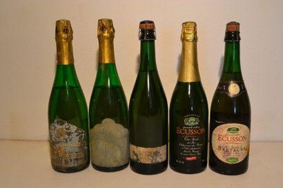 Lot de 5 blles de vin pétillant comprenant...