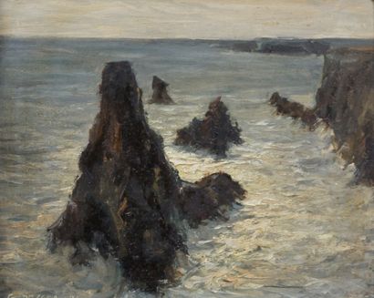 DE CHAMP G. (XXème siècle)

Aiguilles de...