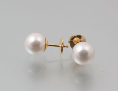 Paire de clous d'oreilles en or jaune

ornés...