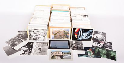 [PHOTOGRAPHIES - FAUNES ET FLORE] 

Ensemble...