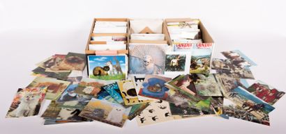 [HUMOUR - PHOTOGRAPHIES] 

Ensemble de cartes...
