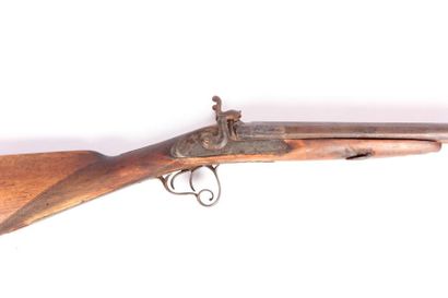 fusil de chasse à piston, chiens extérieurs...