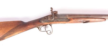 fusil de chasse à piston, chiens extérieurs...