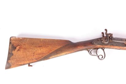 fusil de chasse à piston, chiens extérieurs...