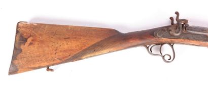 fusil de chasse à piston, chiens extérieurs...