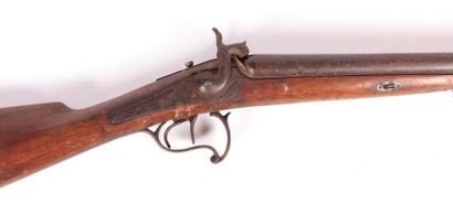 fusil de chasse à piston, chiens extérieurs...