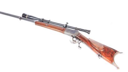 Carabine de tir longue distance suisse -...