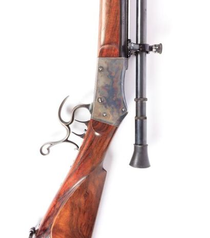Carabine de tir longue distance suisse -...
