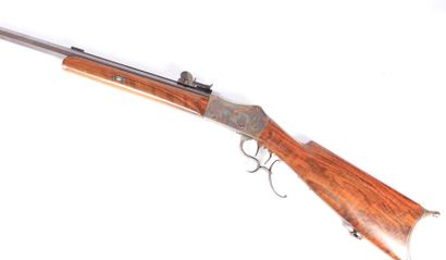 Carabine de tir longue distance suisse -...