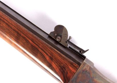 Carabine de tir longue distance suisse -...