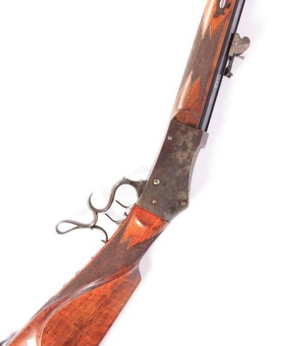 Carabine de tir longue distance suisse -...