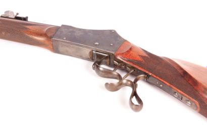 Carabine de tir longue distance suisse -...