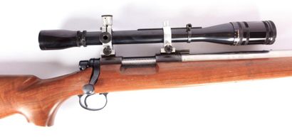 Carabine de tir longue distance REMINGTON...