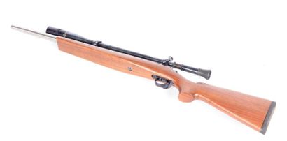 Carabine de tir longue distance REMINGTON...