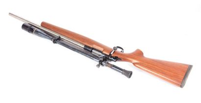 Carabine de tir longue distance REMINGTON...