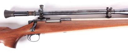 Carabine de tir longue distance REMINGTON...