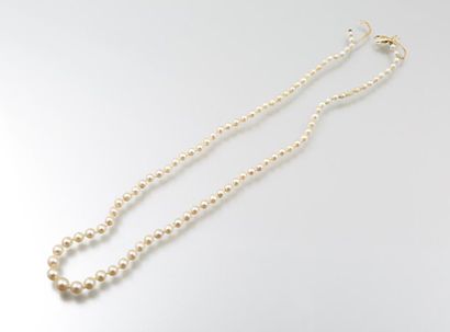 Collier en perles, la monture en métal doré
Long....