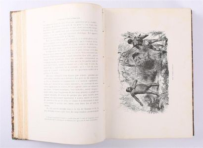 DU CHAILLU Paul - Voyages et aventures dans...