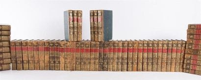COLLECTIF - Dictionnaire des sciences naturelles...