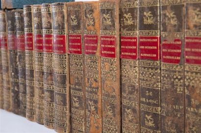 COLLECTIF - Dictionnaire des sciences naturelles...
