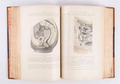 TESTUT L. et JACOB O. - Traité d'anatomie...