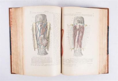 TESTUT L. et JACOB O. - Traité d'anatomie...