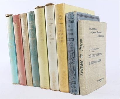 [LITTERATURE & DIVERS]
- DUMONT Emilie -...