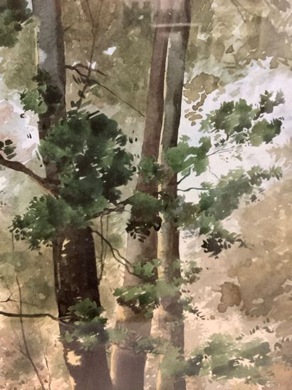 Watercolor ( young girl at a spring ) signed...