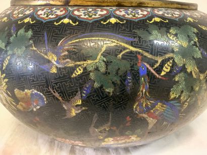 Grand cache pot cloisonné style asiatique,...