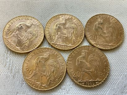 Lot de 5 pièces 20 francs or : 1904, 1905,...