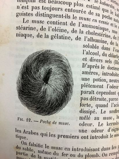 MOQUIN-TANDON, Éléments de zoologie médicale,...