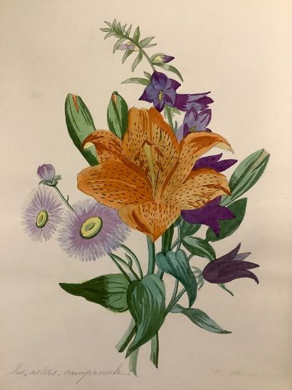 Herbier fin XIXe , technique Mixtec crayon...
