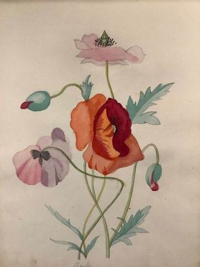 Herbier fin XIXe , technique Mixtec crayon...