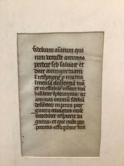 Petite page manuscrite en Latin medieval...