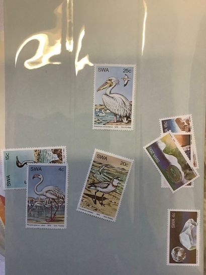 Afrique - Petit ensemble de timbres de Namibie...