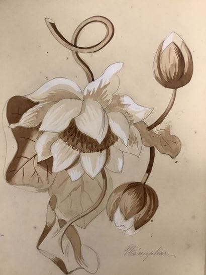 Herbier fin XIXe , technique Mixtec crayon...