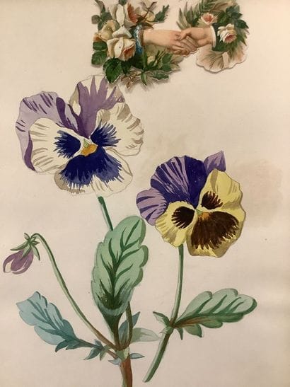 Herbier fin XIXe , technique Mixtec crayon...