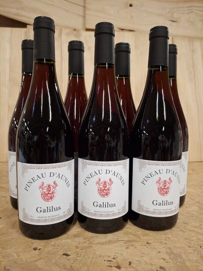 7 Pineau d'Aunis récolte 2023 Galilus, cépage...
