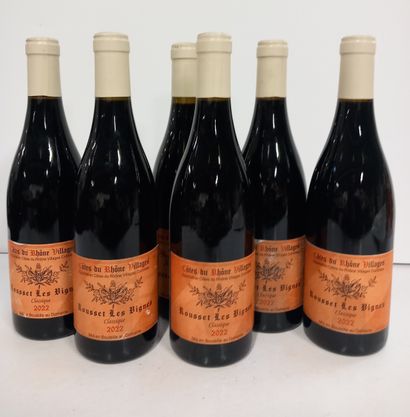 6 Bottles Côtes du Rhône Village 2022 Rousset...