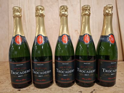 5 Méthode Traditionnelle Brut, Blanc de Blancs,...