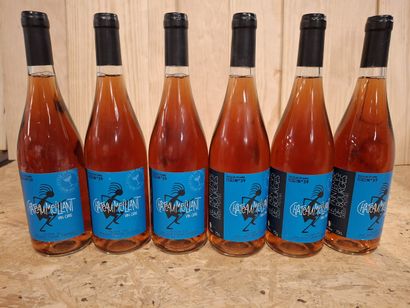 6 Rosé Chateaumeillant 2013, vin du Centre...
