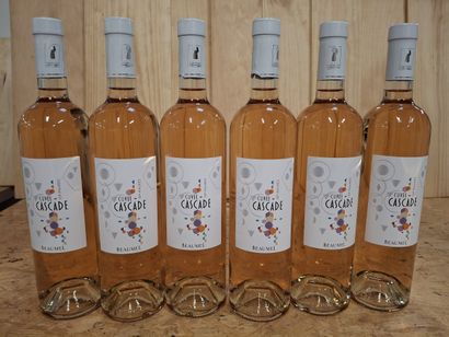 6 Rosé 2022 Cuvée Cascade Beaumel IGP Maures...