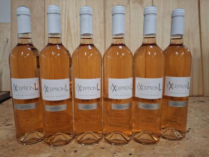 6 Côtes de Provence Rosé L'Exception'L Vignobles...
