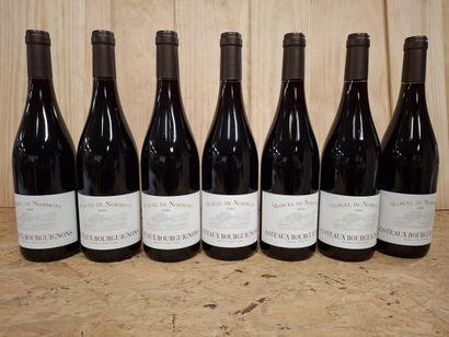 7 Coteaux Bourguignons 2020 Domaine Marcel...