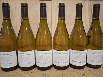 6 Mâcon- Village, 2019 Bourgogne Blanc Domaine...