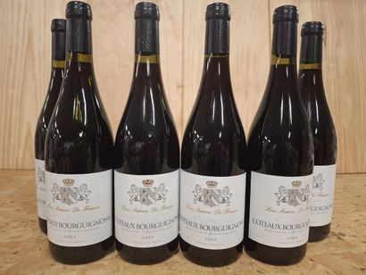 6 Bouteilles de Bourgogne 2023, Les Armes...