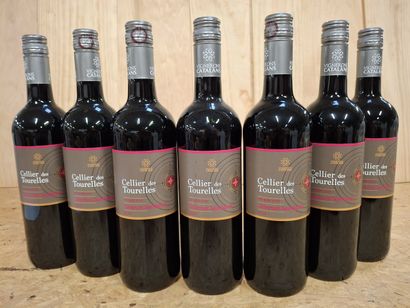 7 Bouteilles Cabernet Sauvignon 2019 IGP...
